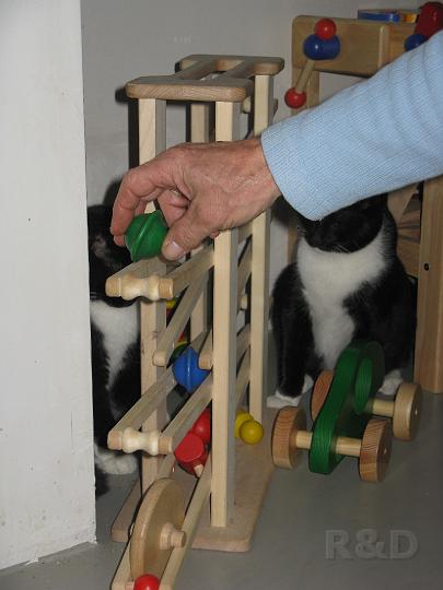 Spike & Zoey 3 november 2008 (4).JPG